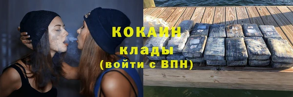 прущий лед Алзамай