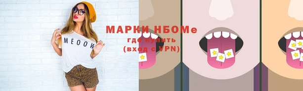 стафф Аркадак
