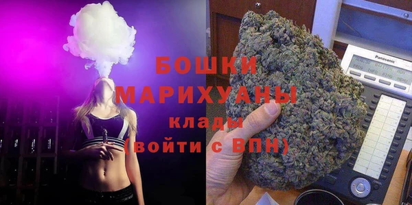 амф Арсеньев