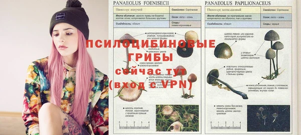 хмурый Алексеевка
