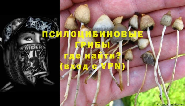 стафф Аркадак