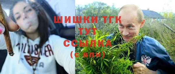 стафф Аркадак